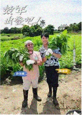 移动端收音测试三款领夹麦结论配图